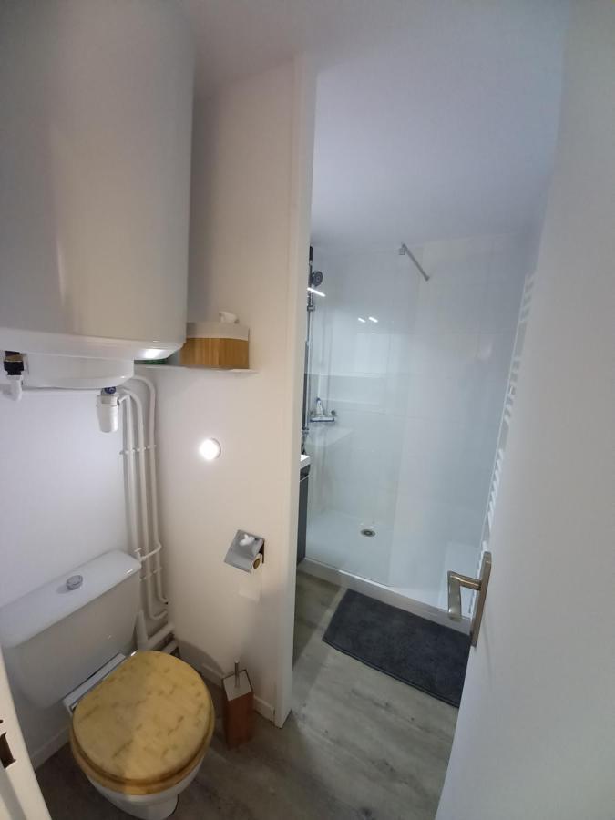 Appartement Cabine St-Lary-Soulan, Calme, Entièrement Rénové Saint-Lary-Soulan Exterior foto